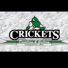Crickets logo